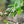 Load image into Gallery viewer, Colombia - Embrujo Caldas
